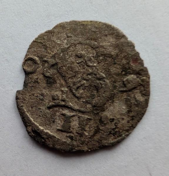Labai retas Žygimanto Vazos 1620 dvidenaris