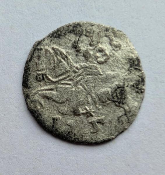 Žygimanto Augusto 155X denaras