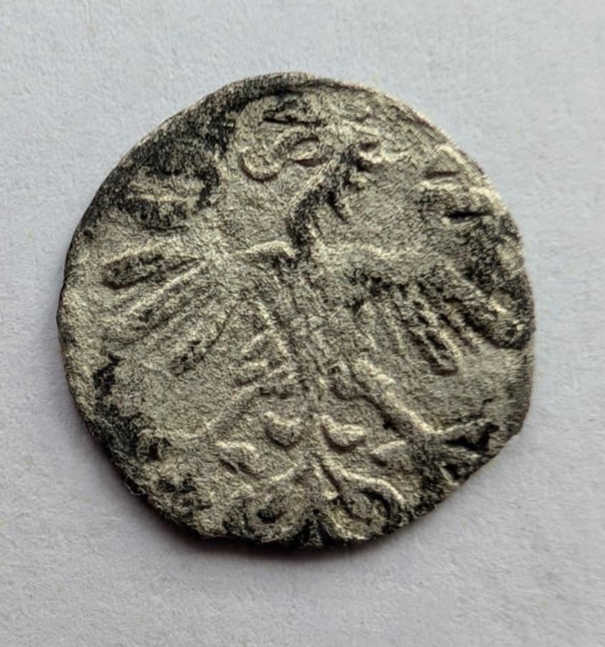 Žygimanto Augusto 155X denaras