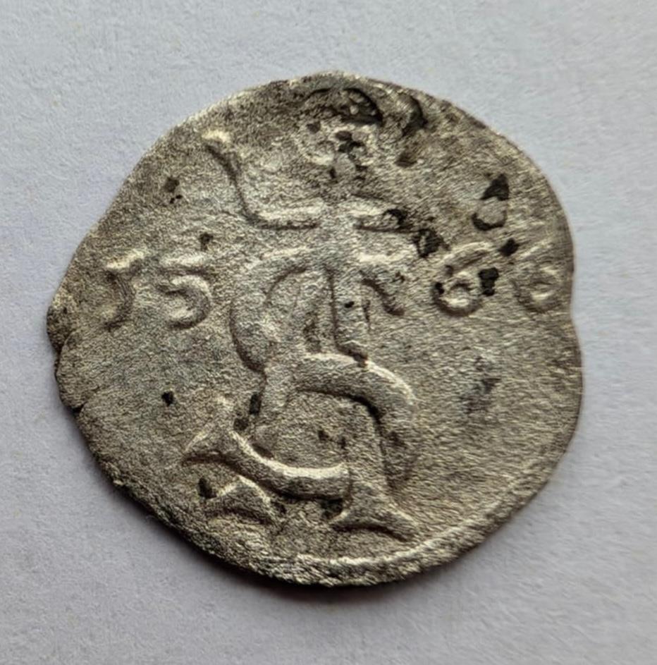 Žygimanto Augusto 1566 dvidenaris 