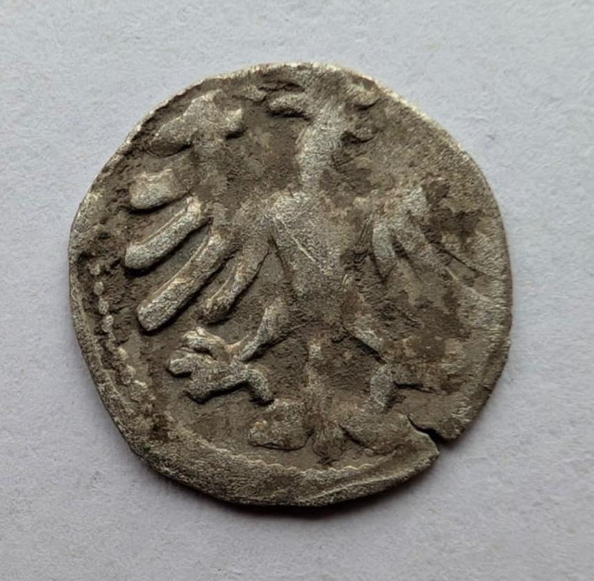 Aleksandro Jogailaičio renesansinis denaras 1495-1596