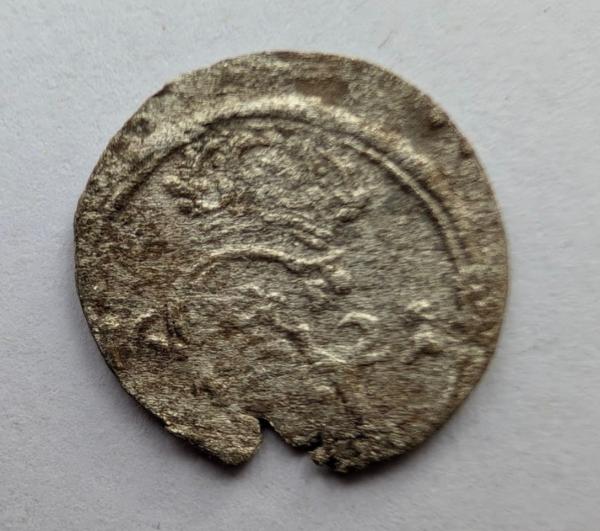 Žygimanto Augusto 1621 dvidenaris 
