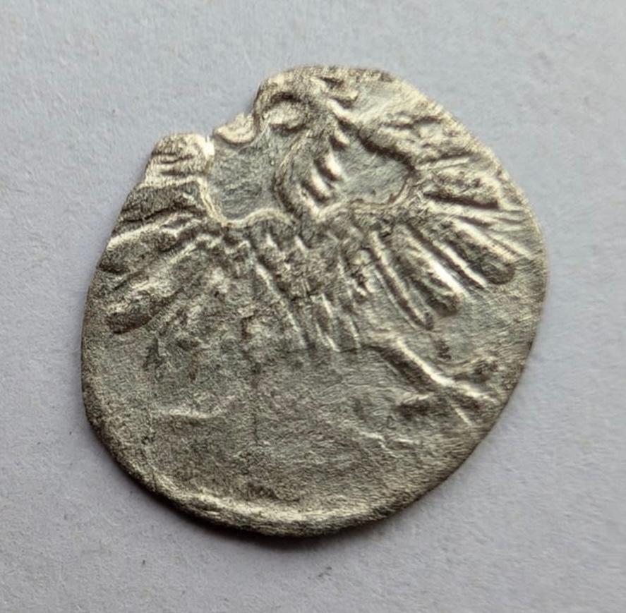 Žygimanto Augusto 155X denaras