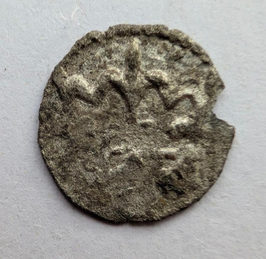 Lenkijos denaras 15a