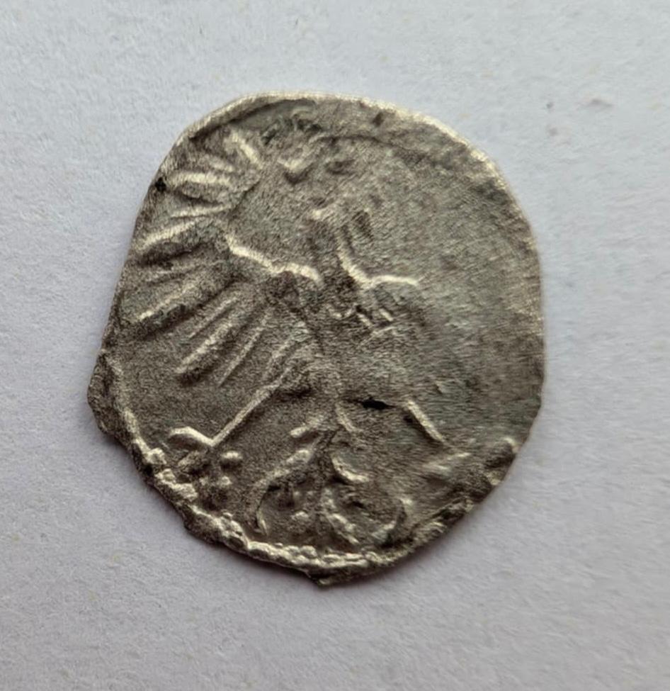 Žygimanto Augusto 1555 denaras 