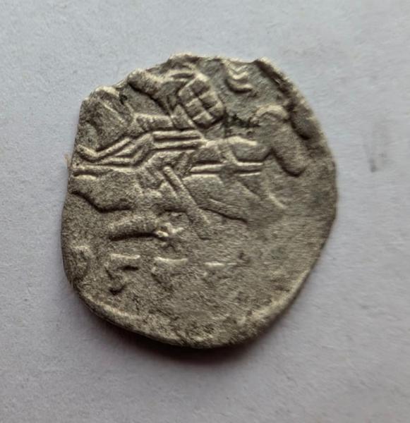 Žygimanto Augusto 1555 denaras 