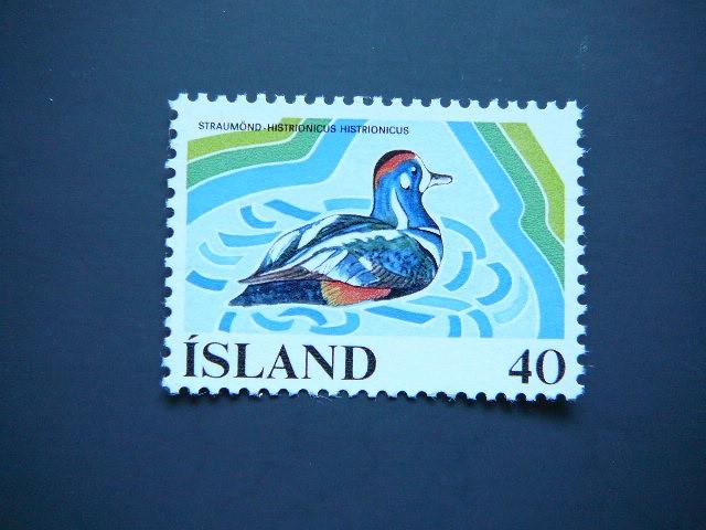 Islandija 1977 Antys svarus MNH #