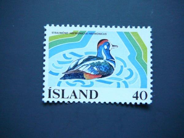 Islandija 1977 Antys svarus MNH #