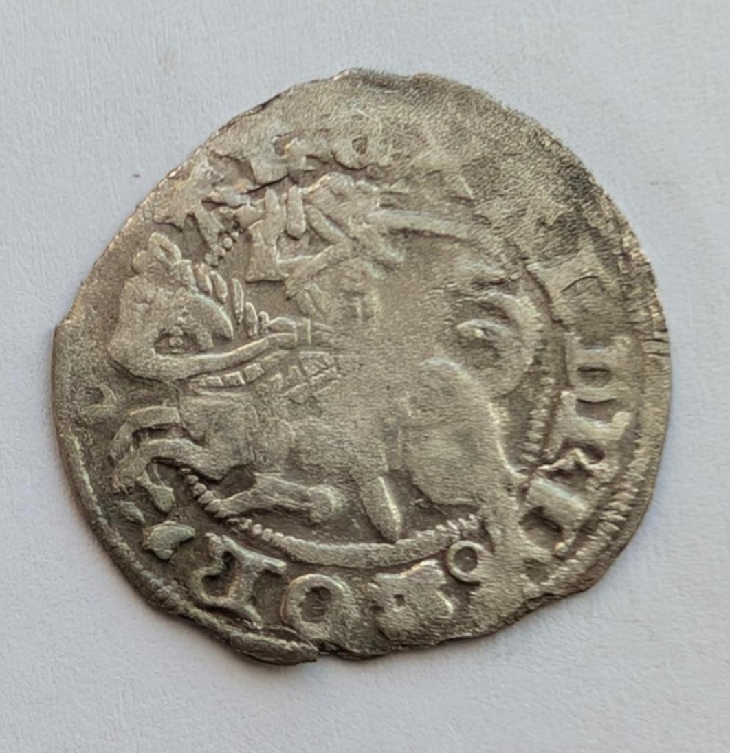 Retesnis Aleksandro Jogailaičio gotikinis pusgrašis 1495-1506