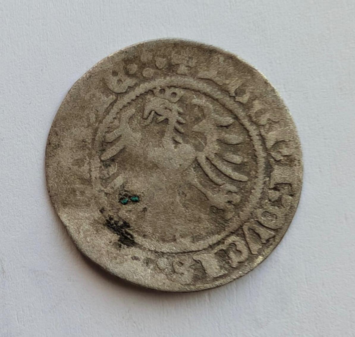 Retas Žygimanto Senojo 1518 pusgrašis 