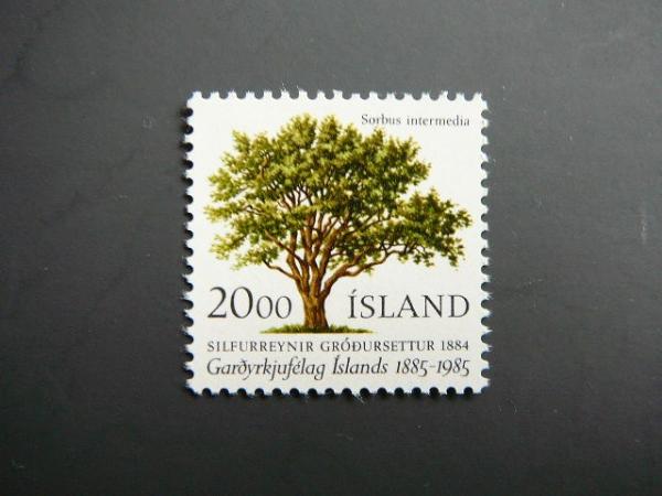 Islandija 1985 Medis svarus MNH #
