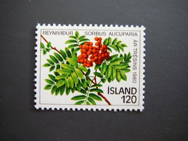 Islandija 1980 Uogos Medis svarus MNH #
