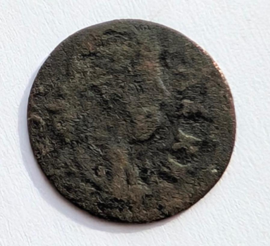 Jono Kazimiero 1665 šilingas su Elniu
