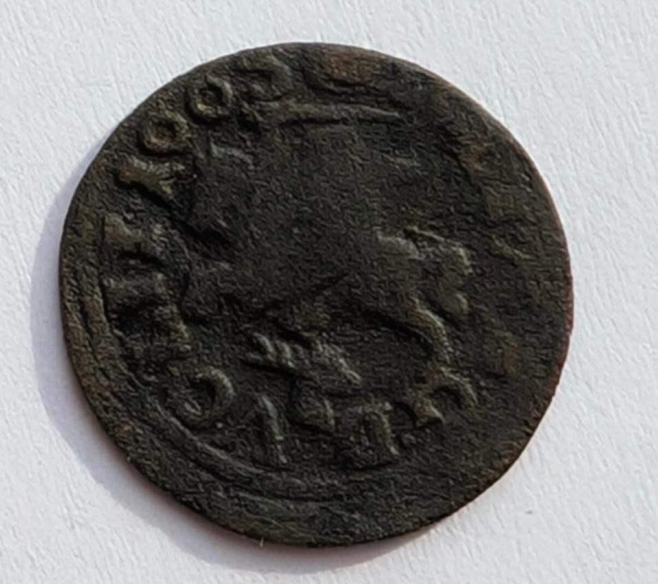 Jono Kazimiero 1665 šilingas su Elniu