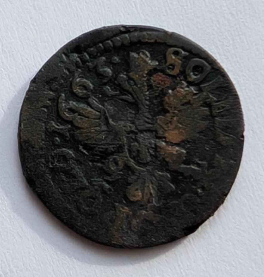 Jono Kazimiero 1663 šilingas 