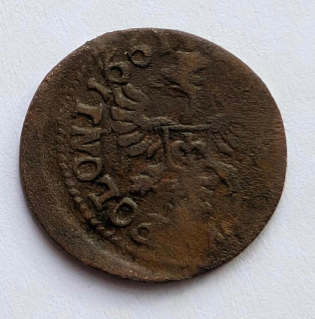 Jono Kazimiero 1661 šilingas 