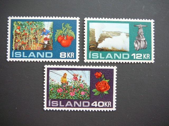 Islandija 1972 Rozes Pomidorai Flora svarus MNH #