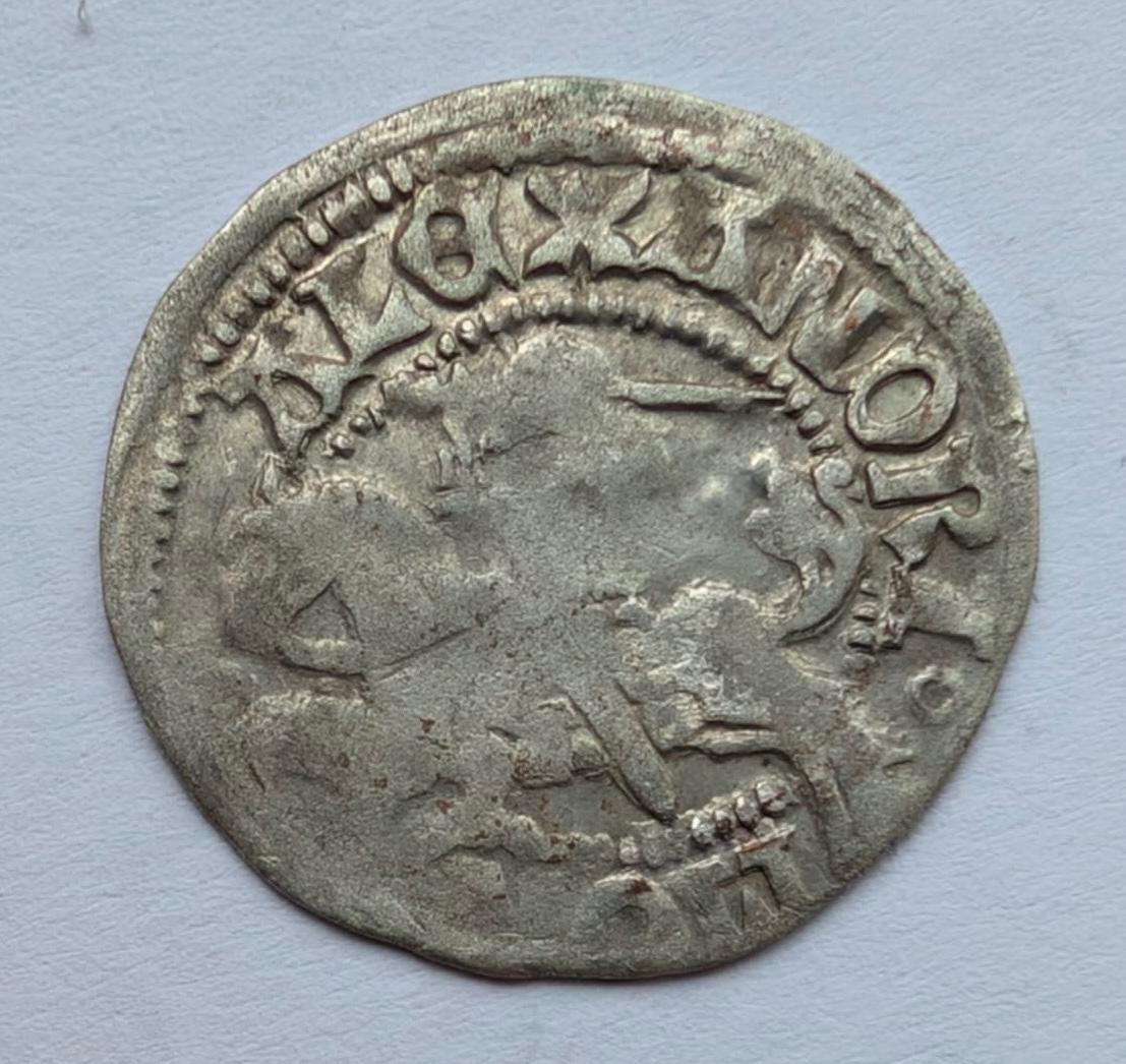 Aleksandro Jogailaičio renesansinis pusgrašis 1495 -1506