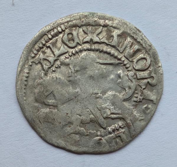 Aleksandro Jogailaičio renesansinis pusgrašis 1495 -1506