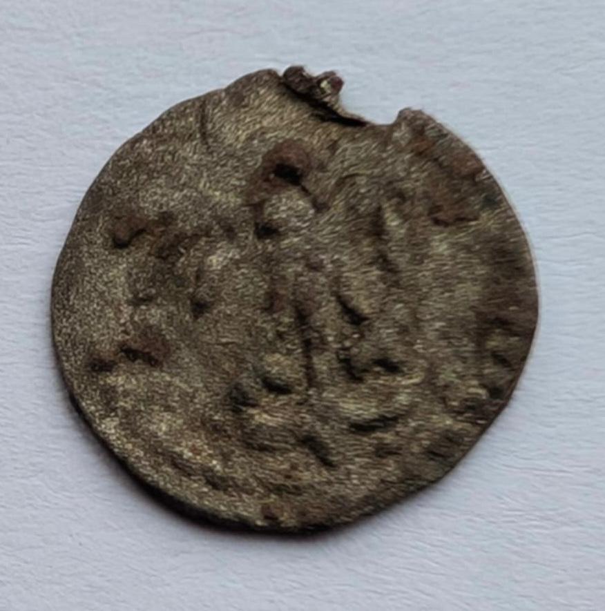 Jono Albrechto denaras 1492-1501