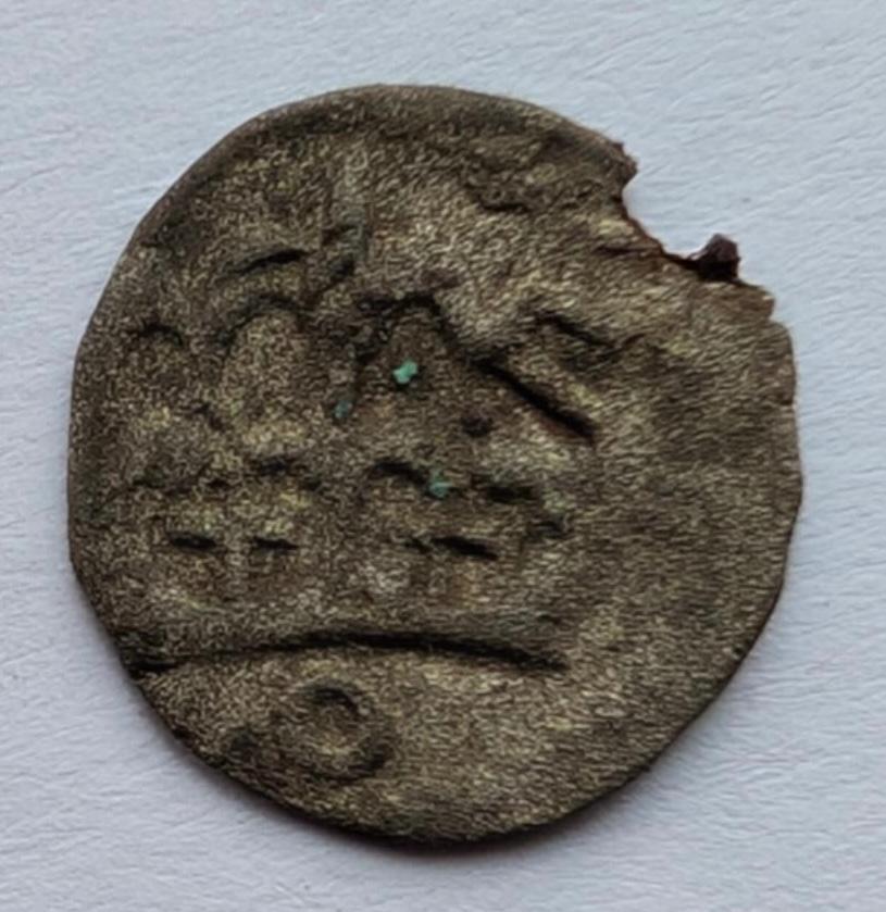 Jono Albrechto denaras 1492-1501