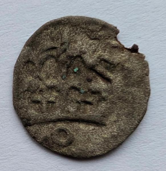 Jono Albrechto denaras 1492-1501