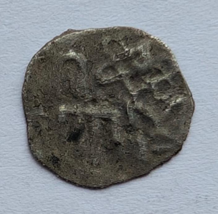 LDK Vladimiro Algirdaičio kaldintas Dzanibeko dengas 1354-1363