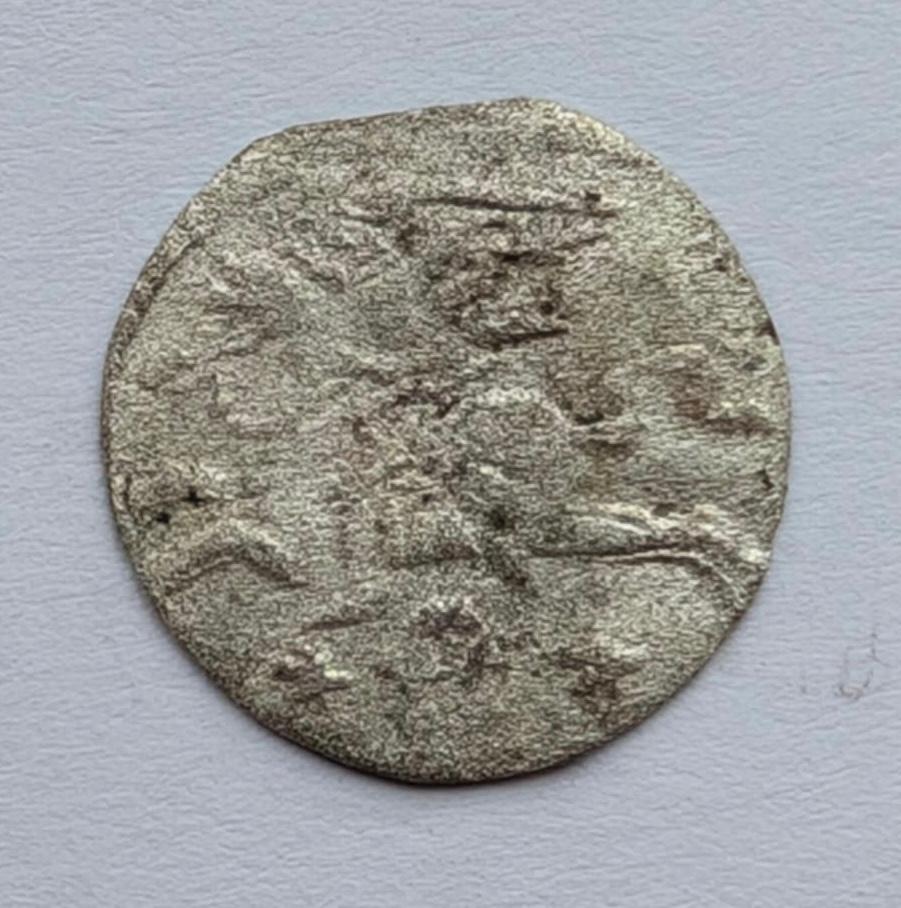 Žygimanto Vazos 1620 dvidenaris 