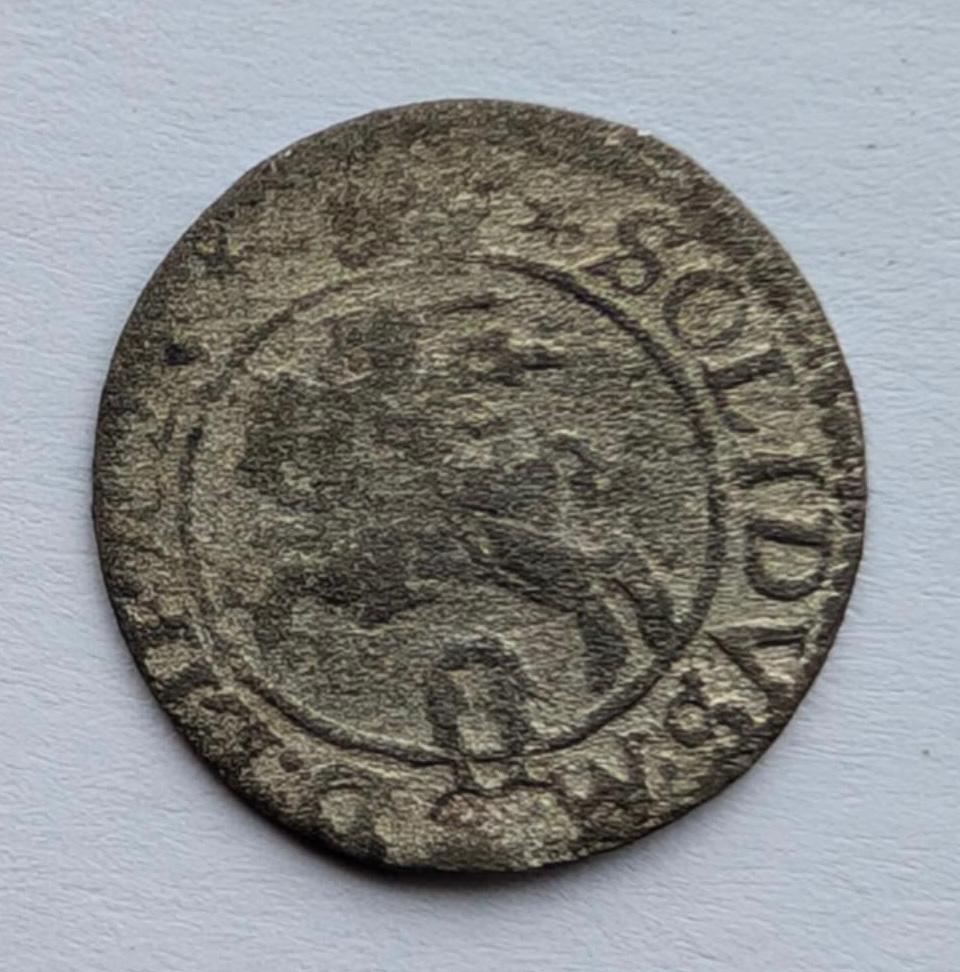 Žygimanto Vazos 1623 šilingas 
