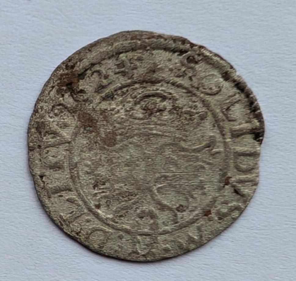 Žygimanto Vazos 1624 šilingas 