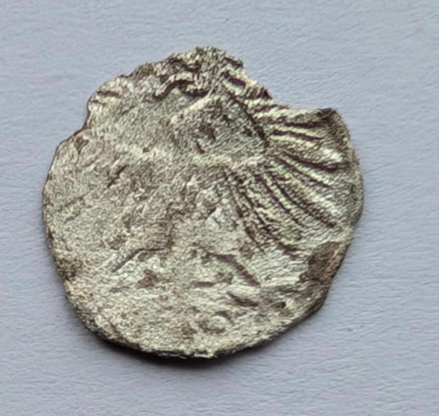 Žygimanto Augusto 1556 denaras