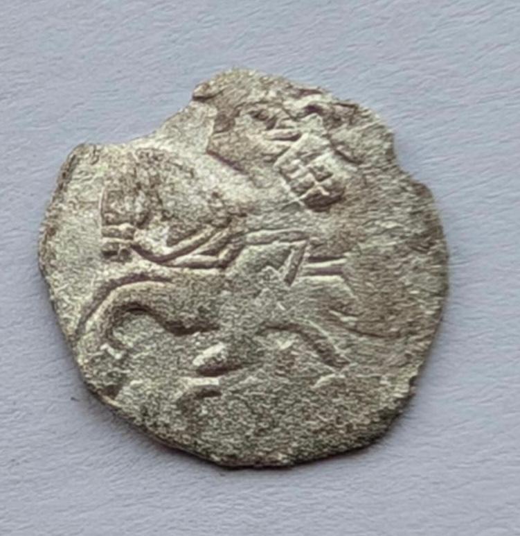 Žygimanto Augusto 1556 denaras