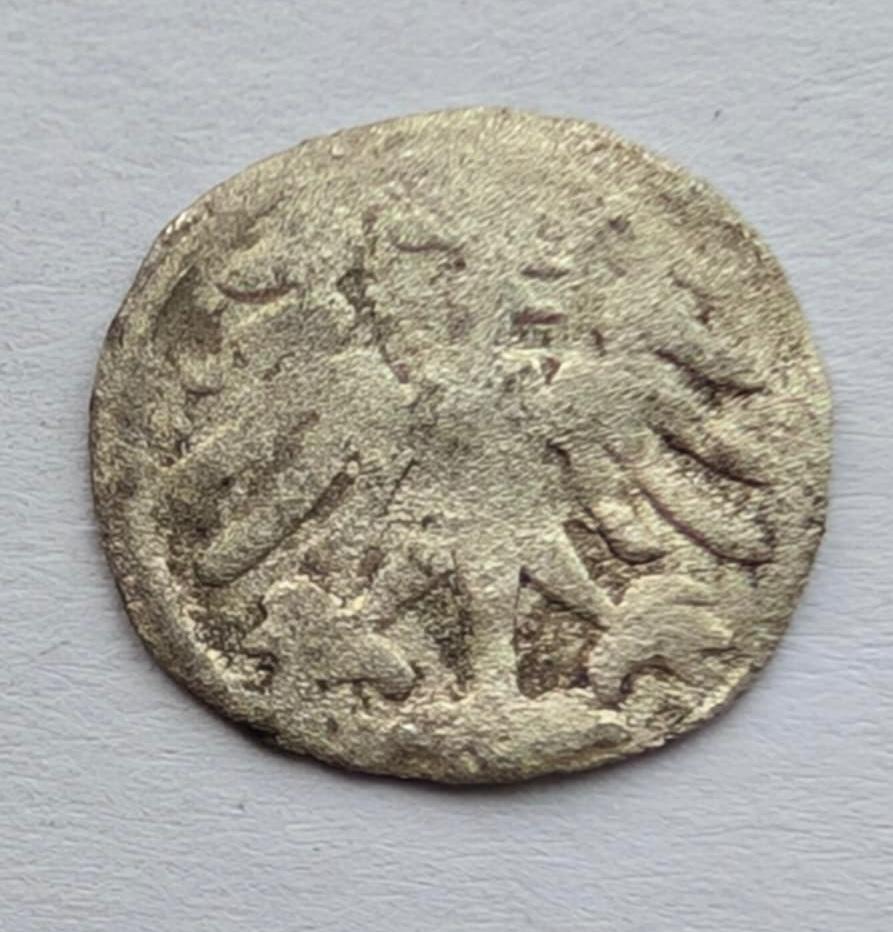 Aleksandro Jogailaičio 1495-1506 denaras