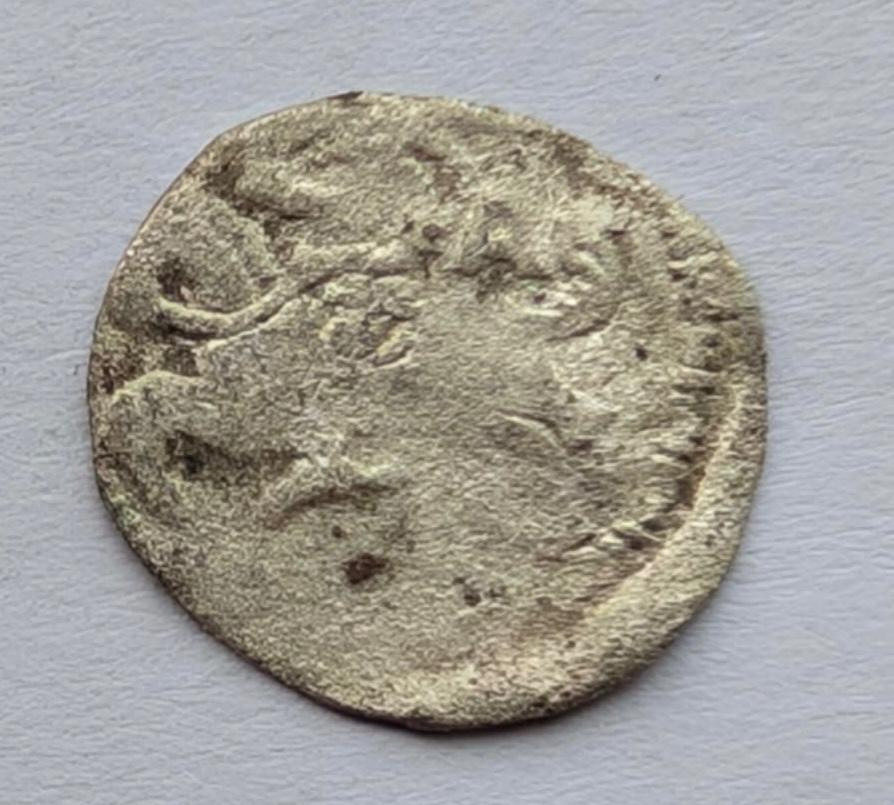 Aleksandro Jogailaičio 1495-1506 denaras