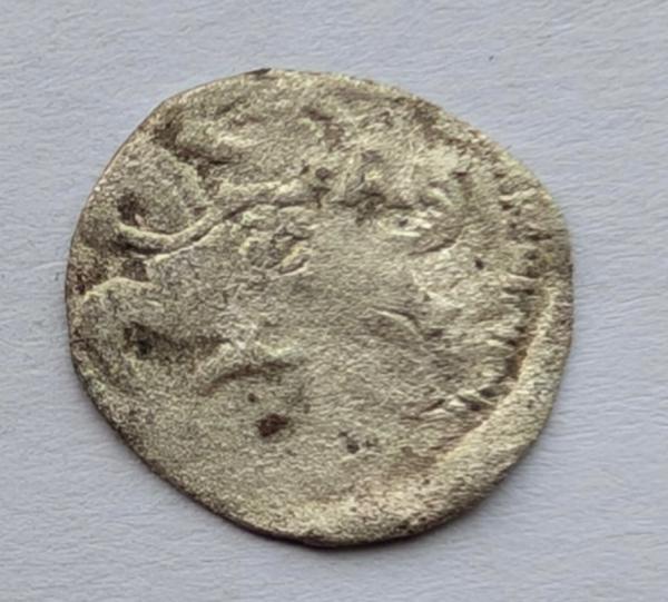 Aleksandro Jogailaičio 1495-1506 denaras