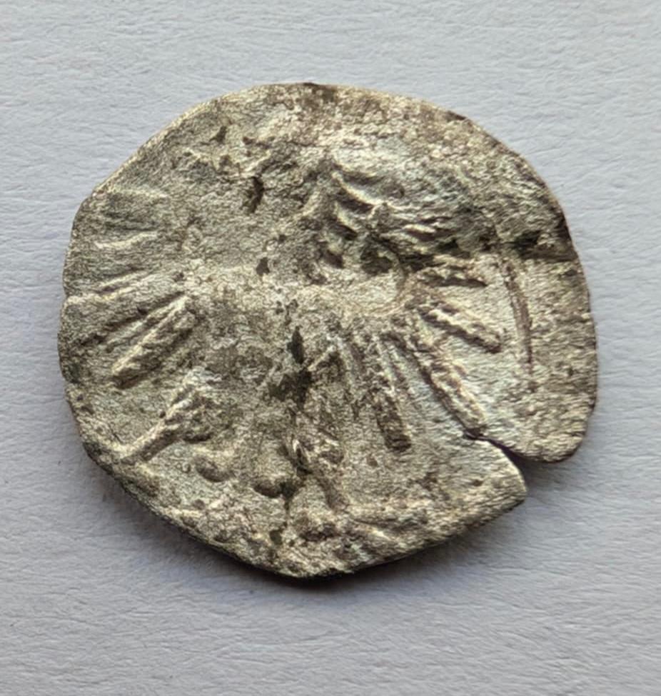 Retas Žygimanto Augusto 1560 denaras
