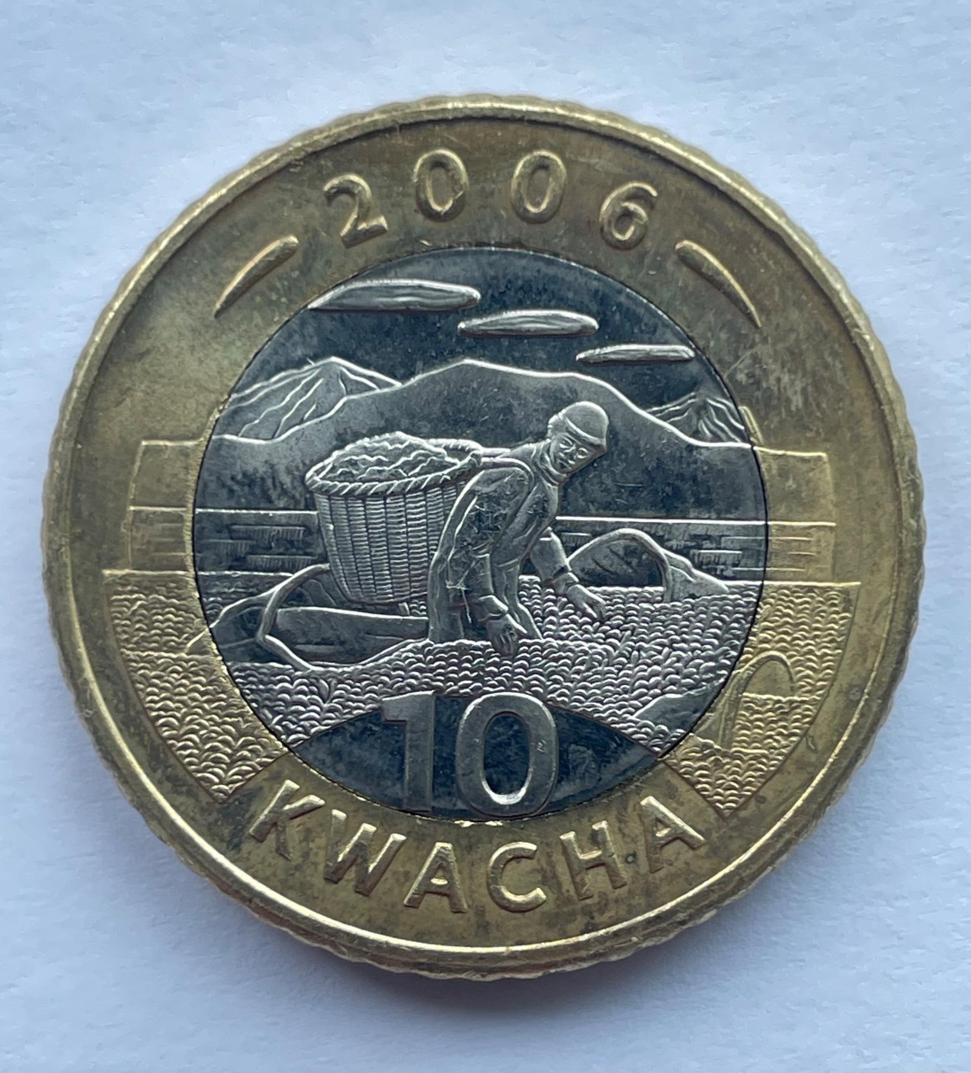 Malavis 10 kvacha