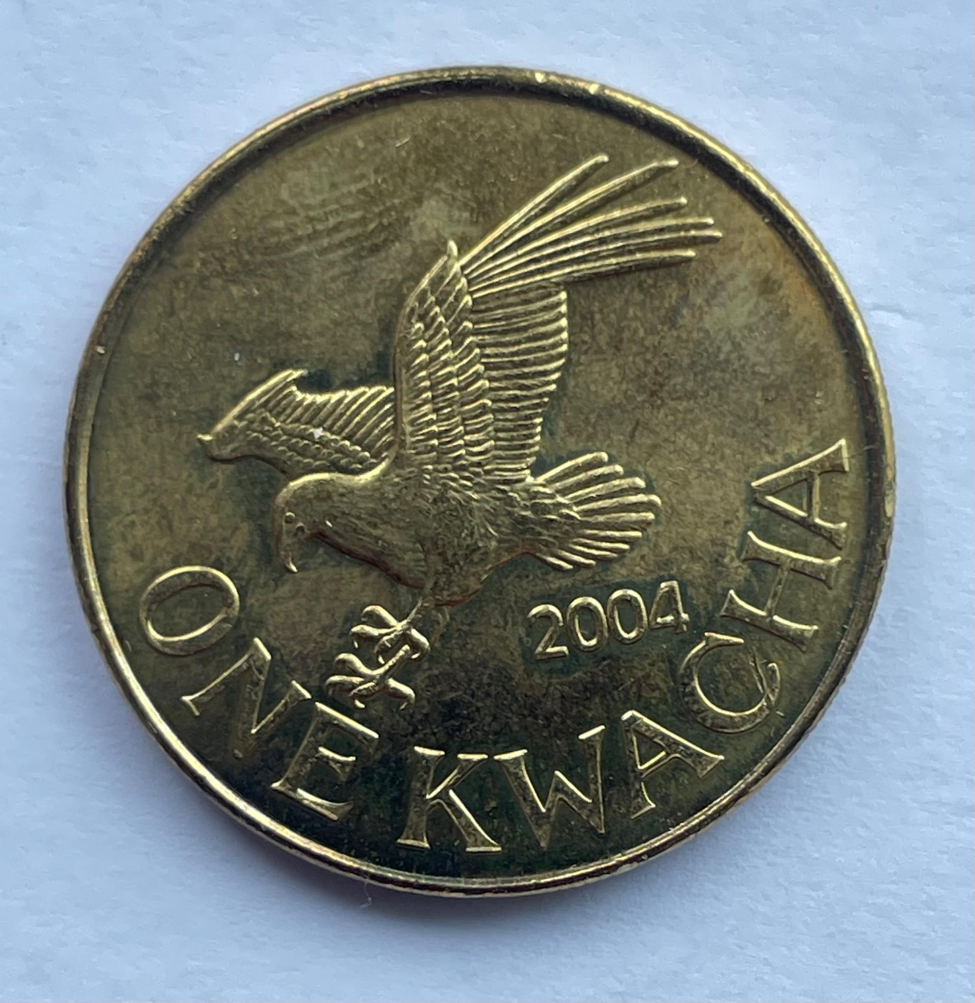 Malavis 1 kvacha 2004