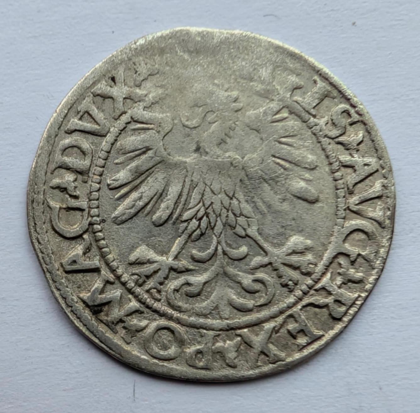 Žygimanto Augusto 1560 pusgrašis 