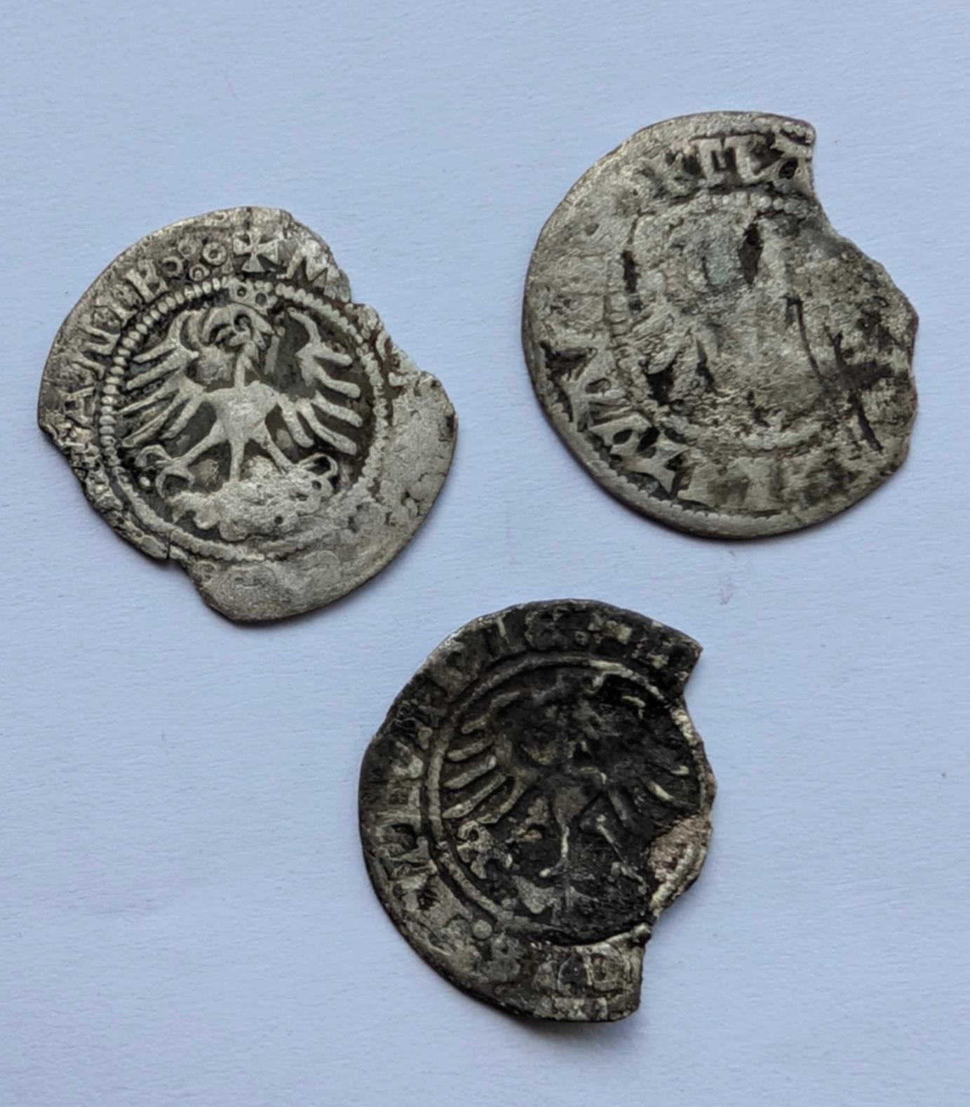 Aleksandro Jogailaičio ir Žygimanto Senojo pusgrašiai 