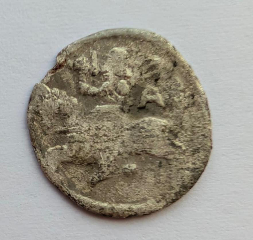 Aleksandro Jogailaičio denaras 1495-1506