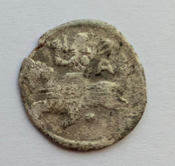 Aleksandro Jogailaičio denaras 1495-1506