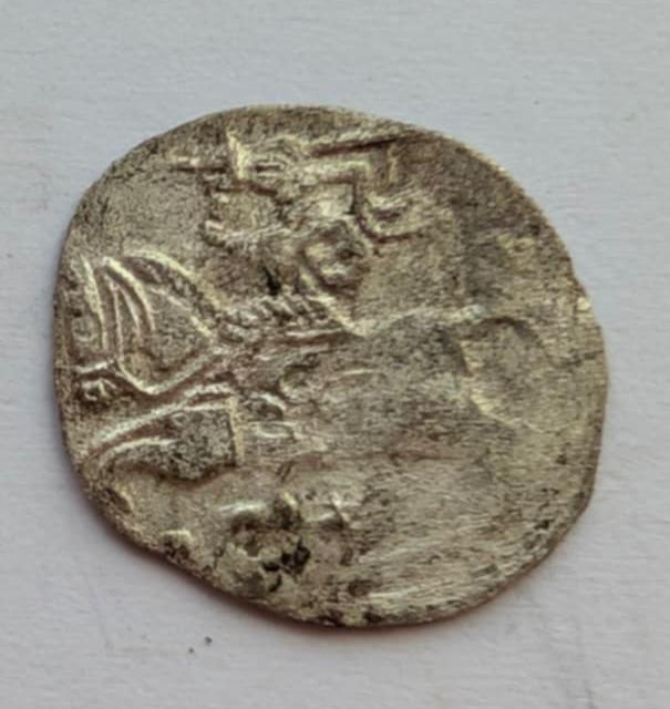 Žygimanto Augusto 155x denaras