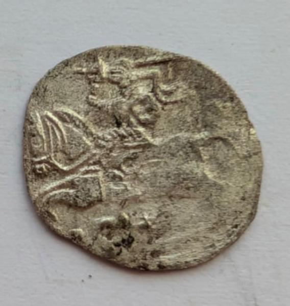 Žygimanto Augusto 155x denaras