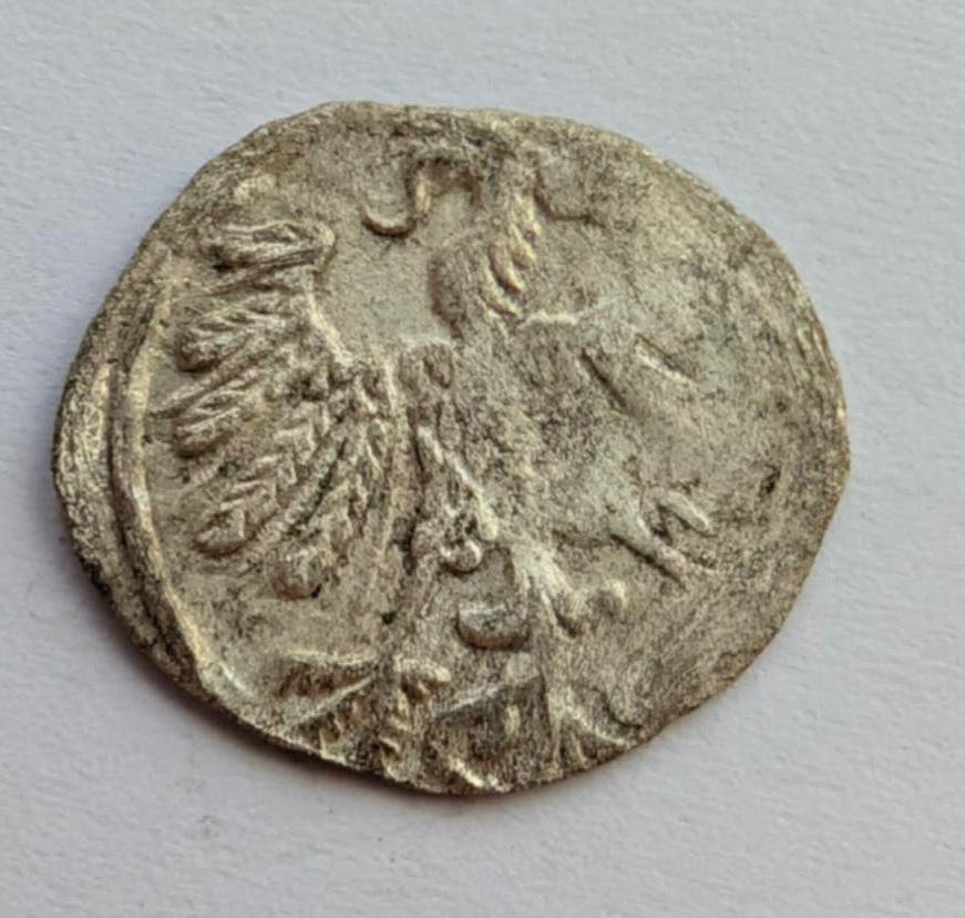 Žygimanto Augusto 155x denaras