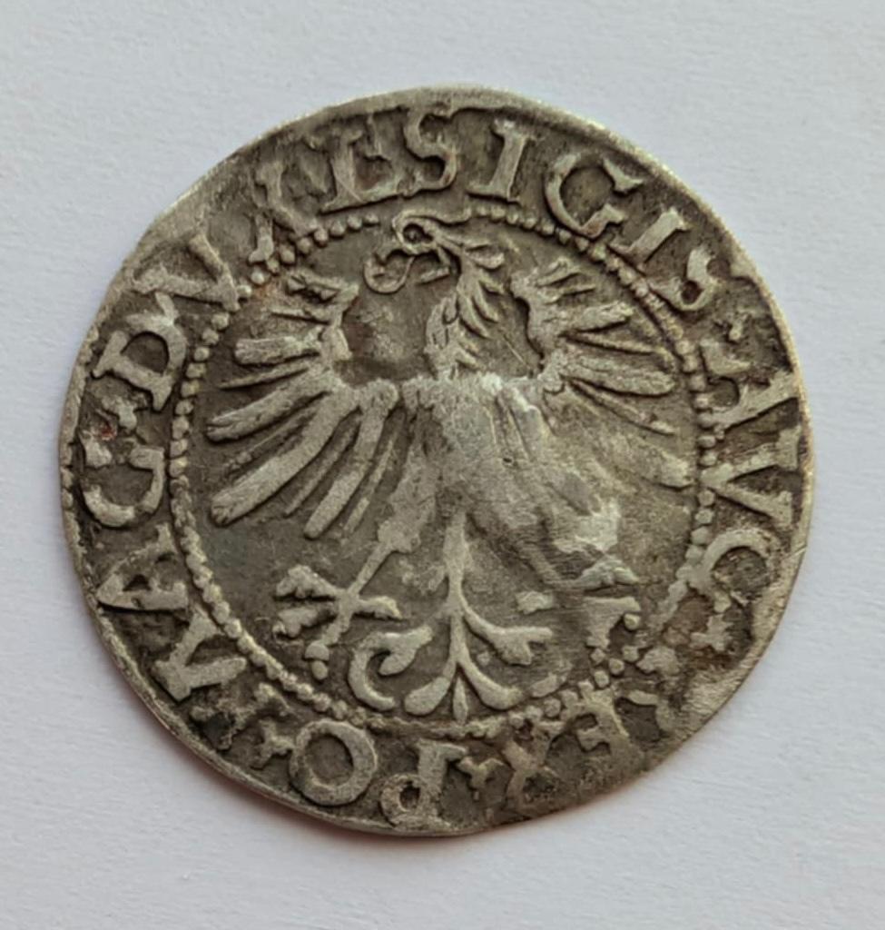 Žygimanto Augusto 1562 pusgrašis 