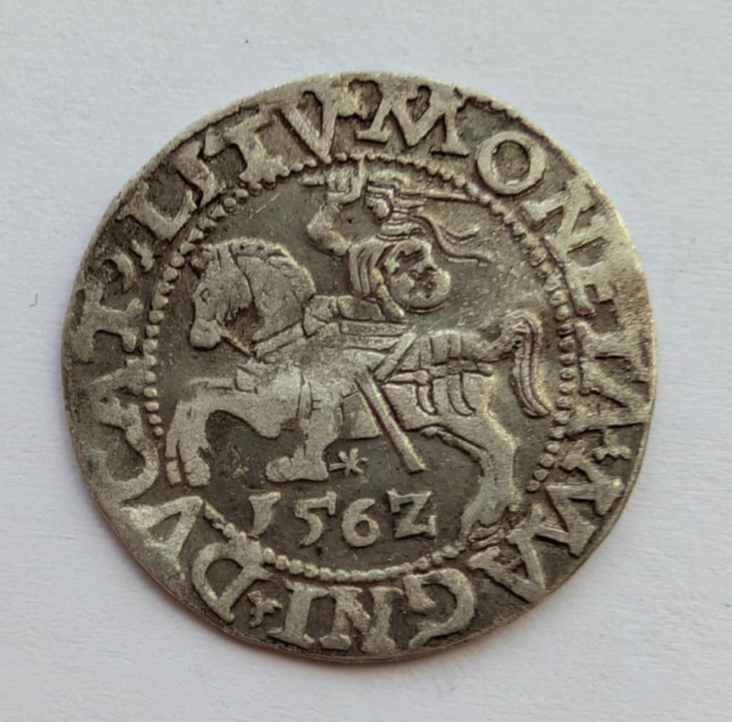 Žygimanto Augusto 1562 pusgrašis 