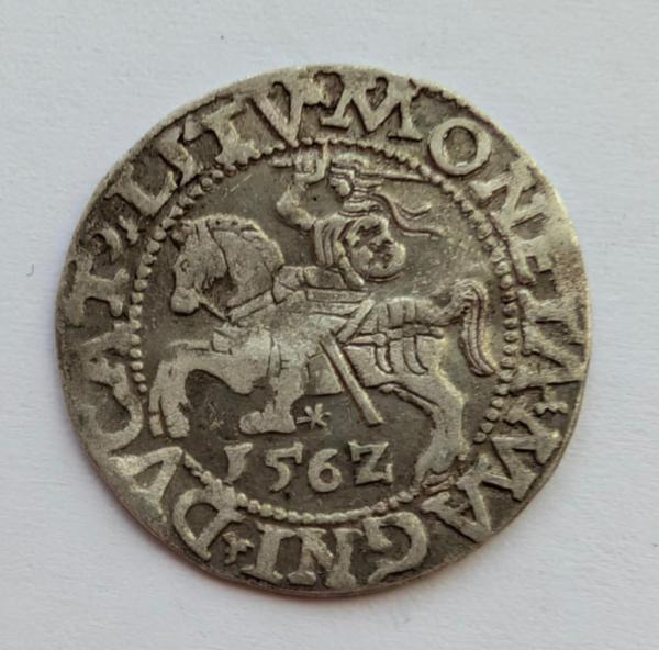 Žygimanto Augusto 1562 pusgrašis 