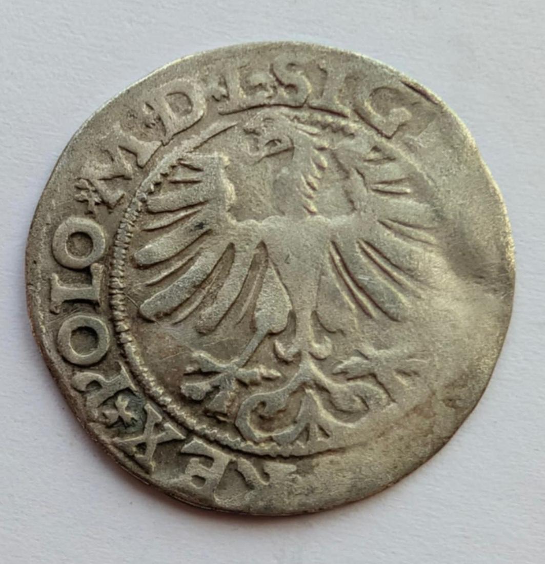 Žygimanto Augusto 1565 pusgrašis 