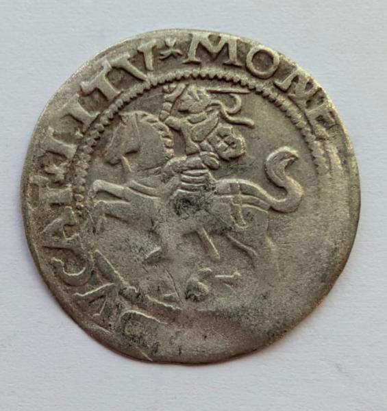 Žygimanto Augusto 1565 pusgrašis 